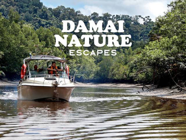 [X1 REWARD POINTS!] DAMAI NATURE ESCAPES TOURS