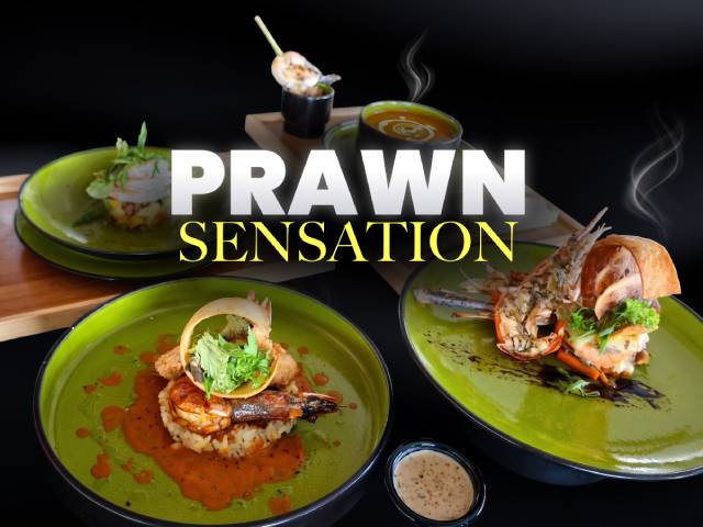 [X1 REWARD POINTS!] PRAWN SENSATION